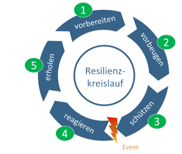 Resilienzkreislauf.png